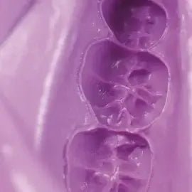 Alginato Hydrogum 5 (453gr.) Zhermack - Odontologicos