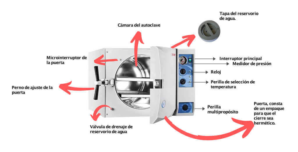 Partes del autoclave: Funciones esenciales para la esterilización - Odontologicos
