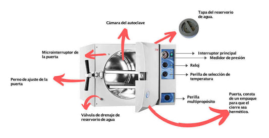 Partes del autoclave: Funciones esenciales para la esterilización - Odontologicos